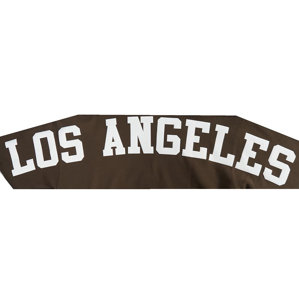 MLB LOS ANGELES DODGERS WINGSPAN MEN'S DROP SHOULDER FLC PO HOODIE V2 (BROWN)
