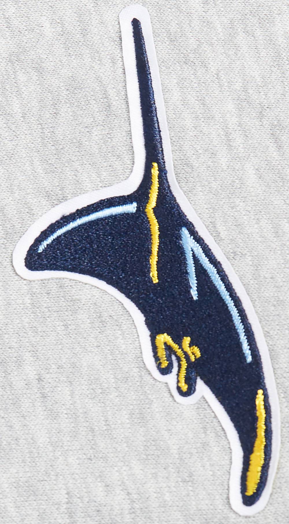 MLB TAMPA BAY RAYS CLASSIC WOMEN'S FLEECE CREWNECK (HEATHER GREY)